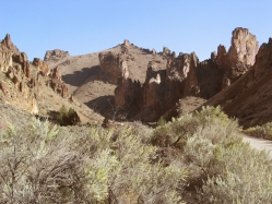 big sage, sagebrush, big sagebrush (Artemisia tridentata)
